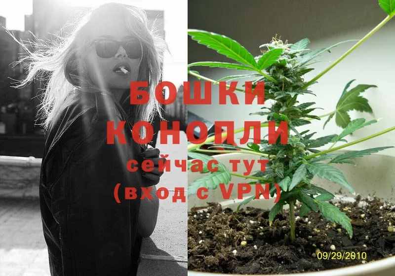 МАРИХУАНА THC 21%  кракен ТОР  Асино 